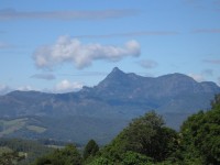 Numinbah Valley - Distant Shot of Mt Warning